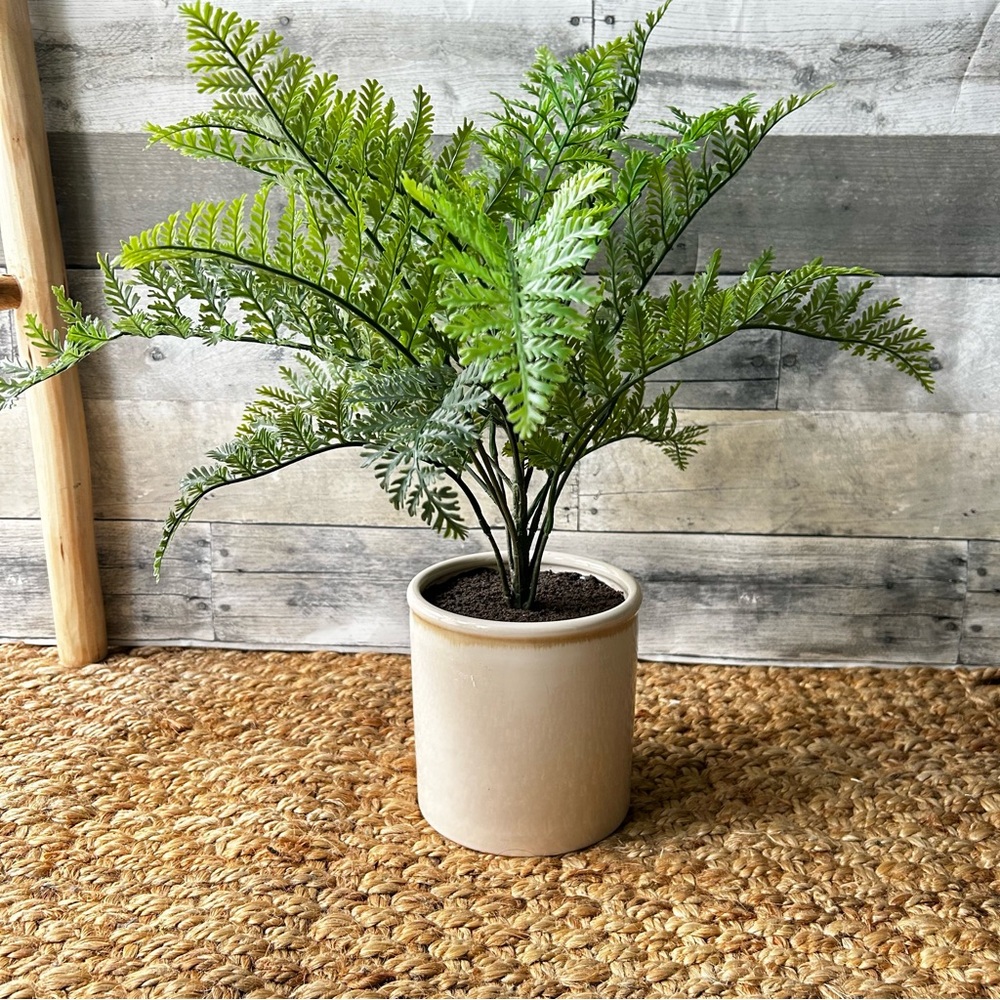 🌴Threshold Tabletop Artificial Fern Plant in Ceramic Cream Pot